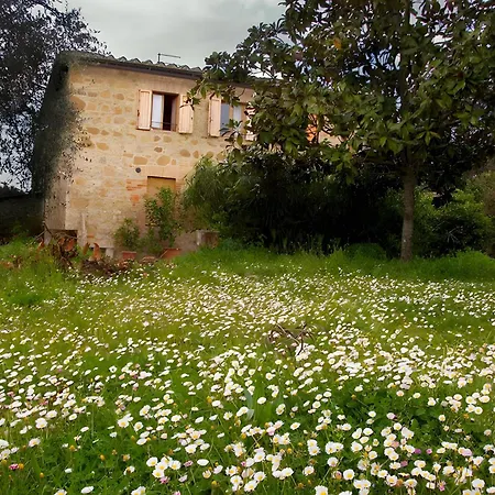 Apartment Casolare La Vigna