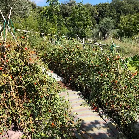 Casolare La Vigna *