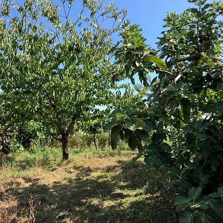 Casolare La Vigna Apartment *