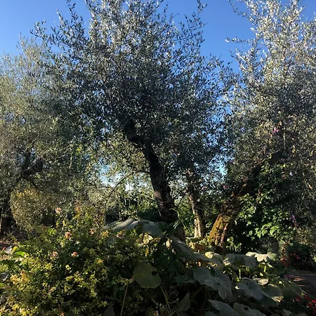 Apartment Casolare La Vigna Siena