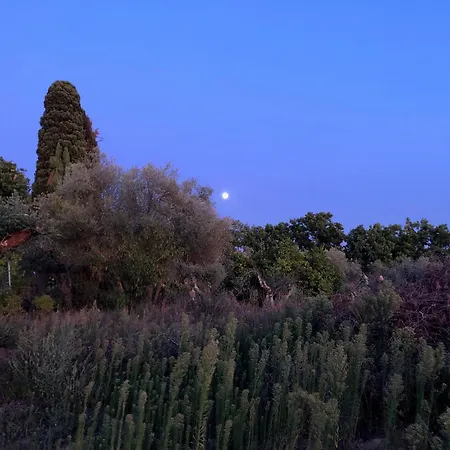 Casolare La Vigna Apartment *