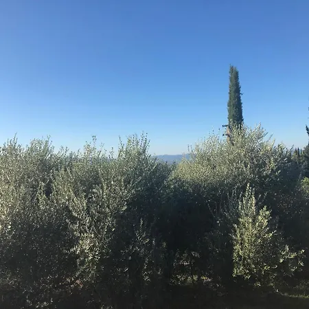 Casolare La Vigna Apartament