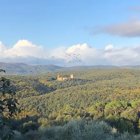 Casolare La Vigna *