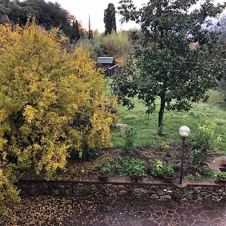 Casolare La Vigna *